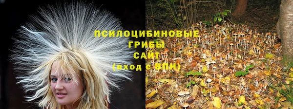 кокаин колумбия Белокуриха